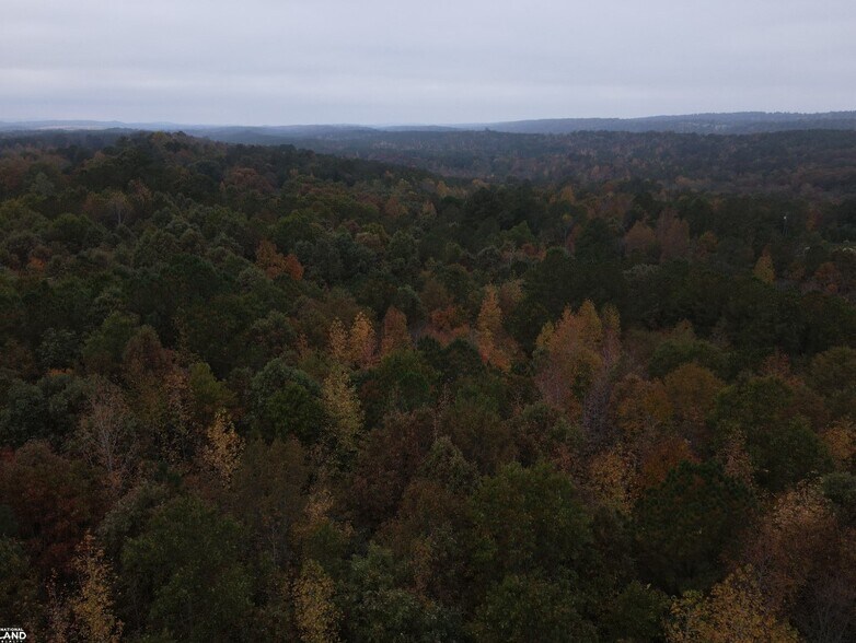 More Photos Of EO Road, Odenville Land For Sale