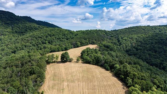 More Photos Of 22590 Criders Rd, Criders Land For Sale