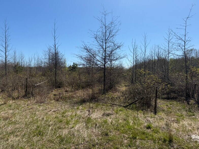 More Photos Of Sheeppenhill Road, Pemberton Land For Sale