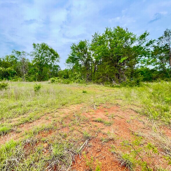 More Photos Of TBD County Road 336, Tyler Land For Sale