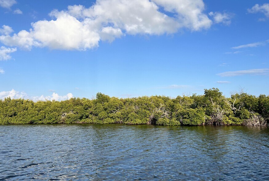 More Photos Of Indian Field Key, Bokeelia Land For Sale