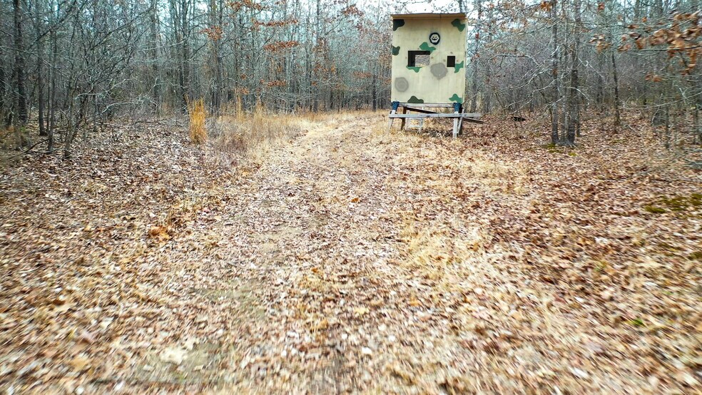 More Photos Of 1200 County 1255 rd, Detroit Land For Sale