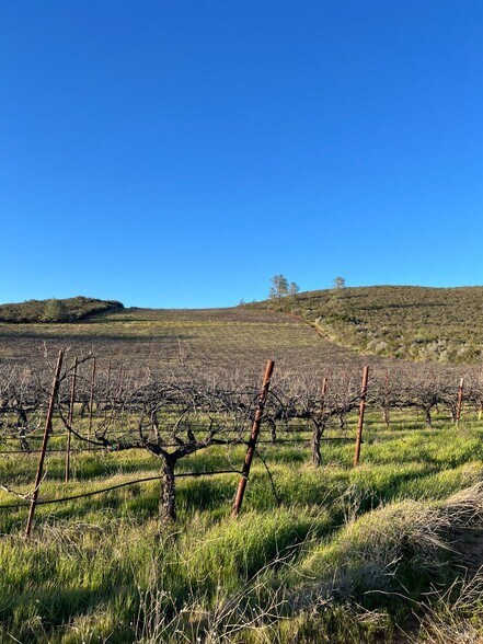 More Photos Of 7590 CA-29 Hwy, Kelseyville Land For Sale