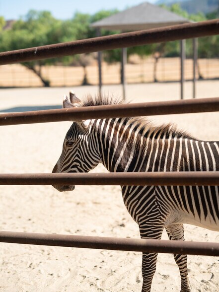 More Photos Of 38831 Pauba Rd, Temecula Land For Sale