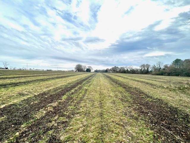 More Photos Of 8291 GA Highway 67, Brooklet Land For Sale