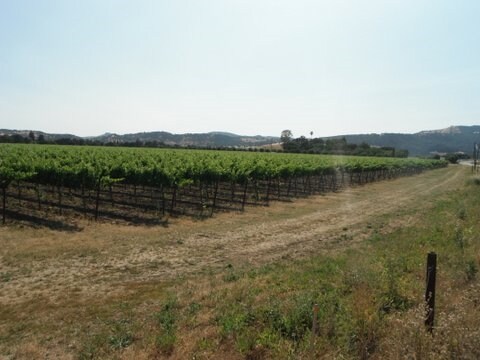 More Photos Of 2574 Ledgewood Rd, Fairfield Winery Vineyard For Sale