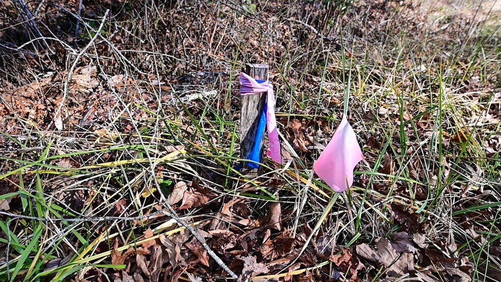 More Photos Of Stuckey Rd @ Mason Springs Rd, Indian Head Land For Sale