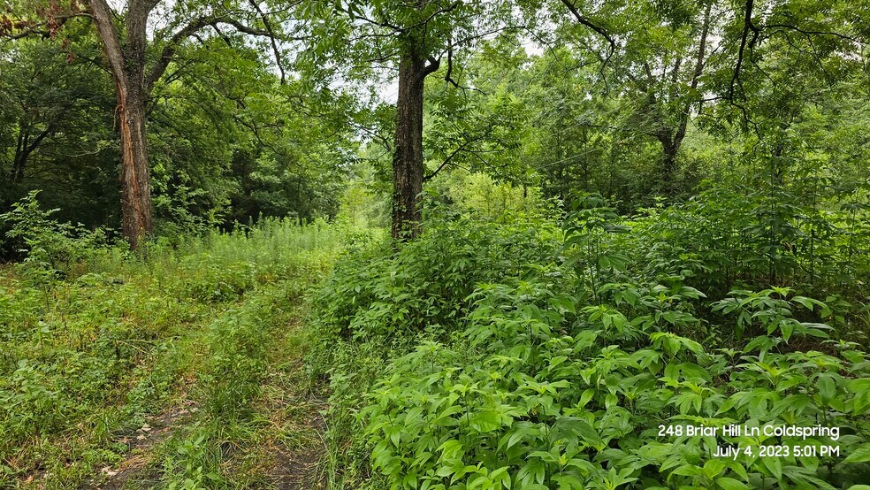 Primary Photo Of 248 Briar Hill Ln, Coldspring Land For Lease