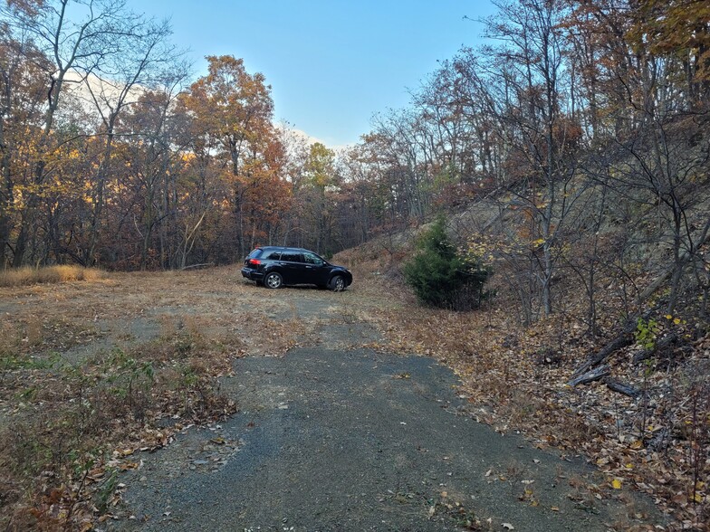 Primary Photo Of Lot 19 South West Slope rd., Star Tannery Land For Sale