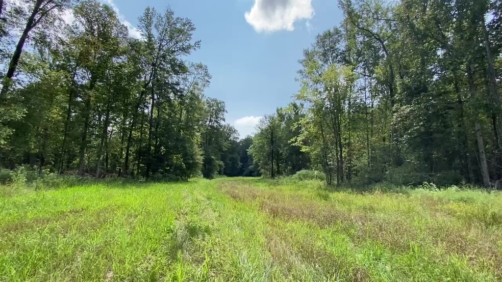 Primary Photo Of Coon Hop Road, Hardaway Land For Sale