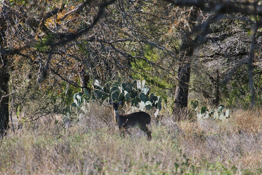 More Photos Of 2874 County 4630 rd, Kempner Land For Sale