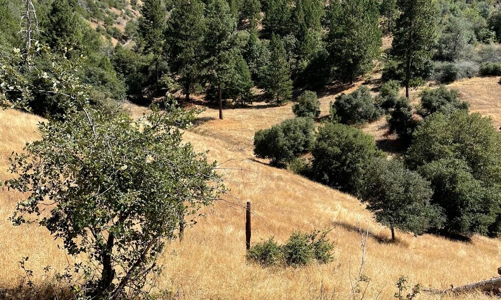 More Photos Of 00000 Forrest Road 1N19, Tuolumne Land For Sale