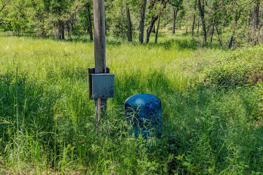 More Photos Of 25755 State Highway 88, Pioneer Land For Sale