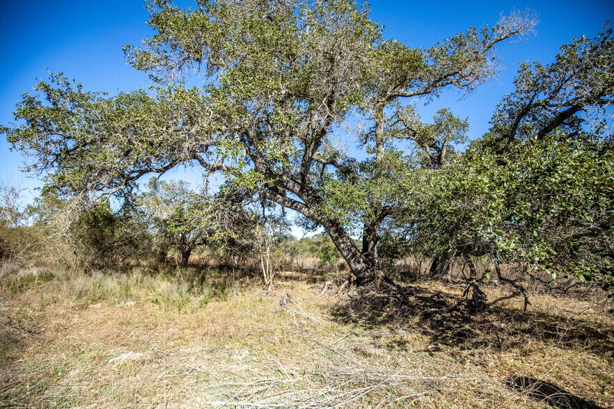 More Photos Of 6498 Highway 35 North, Rockport Land For Sale