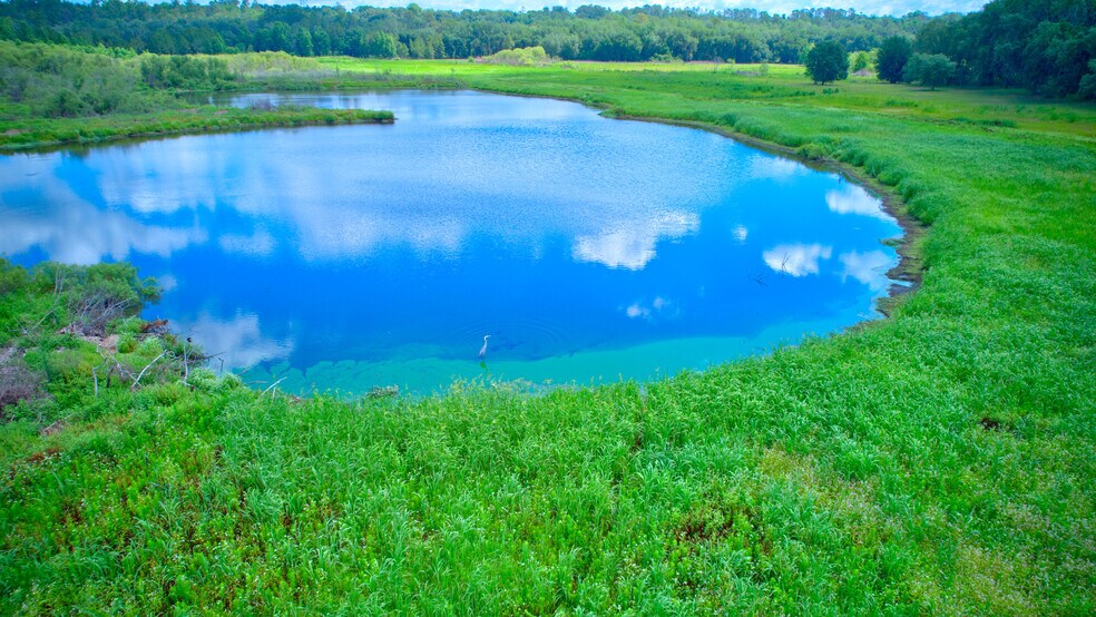 More Photos Of 3267 Neff Lake Rd, Brooksville Land For Sale