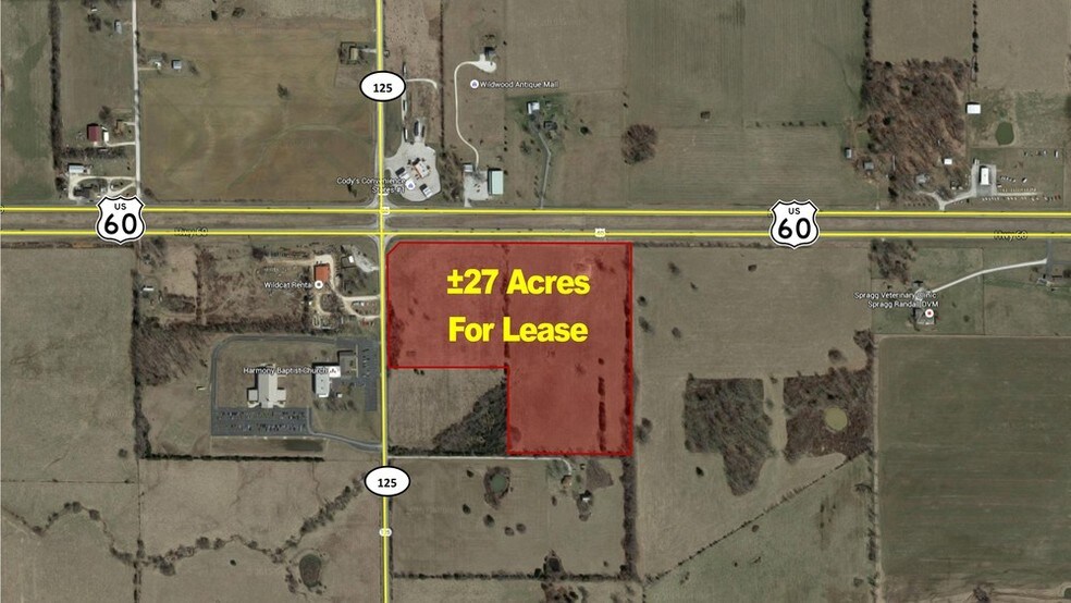 More Photos Of East US HWY 60 & 125, Rogersville Land For Lease