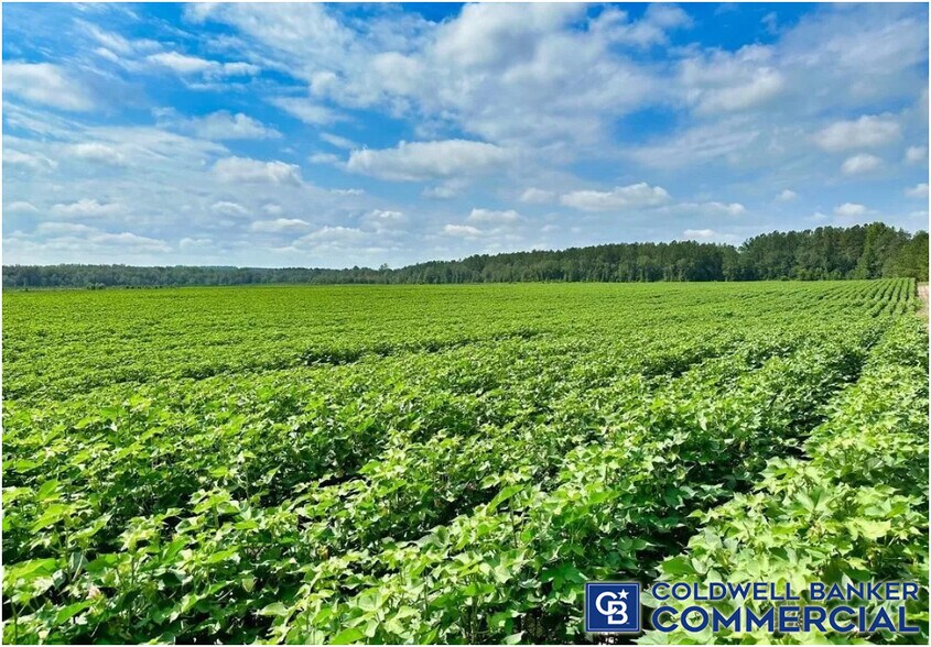 More Photos Of 1340 Clayton Rd, Ridge Spring Land For Sale