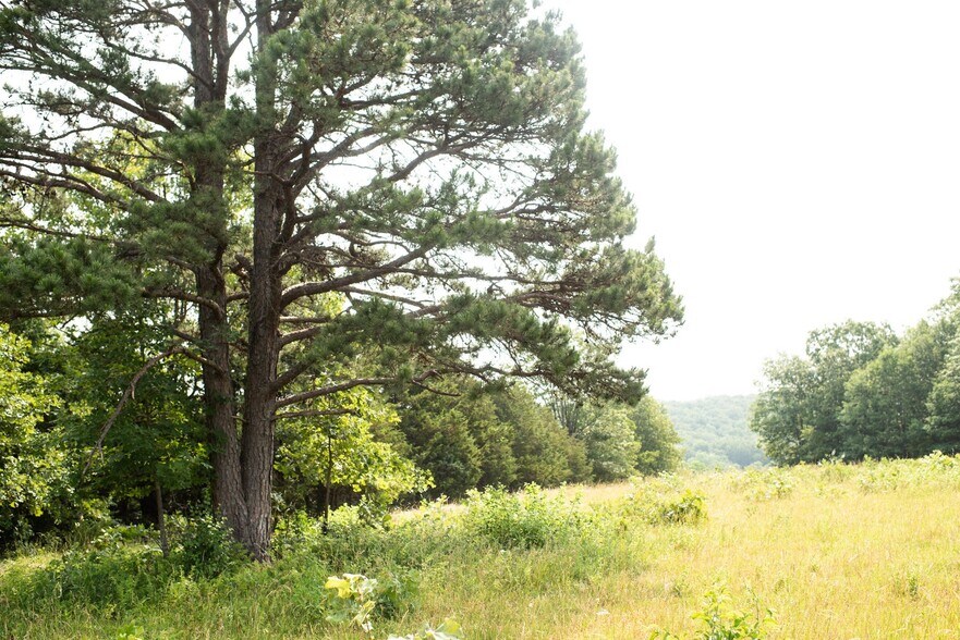 More Photos Of 17551 Longview Rd, Elk Creek Land For Sale