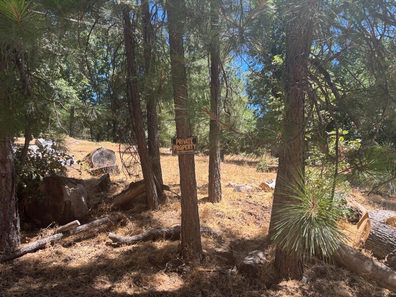 More Photos Of 15574 Hinton Rd, Pioneer Land For Sale