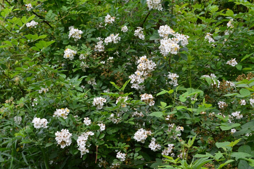 More Photos Of 6421 Highway 91 N, Laurel Bloomery Warehouse For Lease