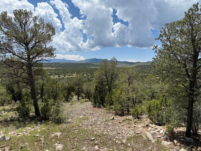 More Photos Of 44 Forest 321 Rd, Estancia Land For Sale