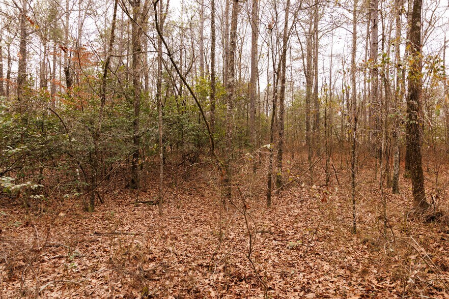 More Photos Of Jug Factory Road, Wetumpka Land For Sale