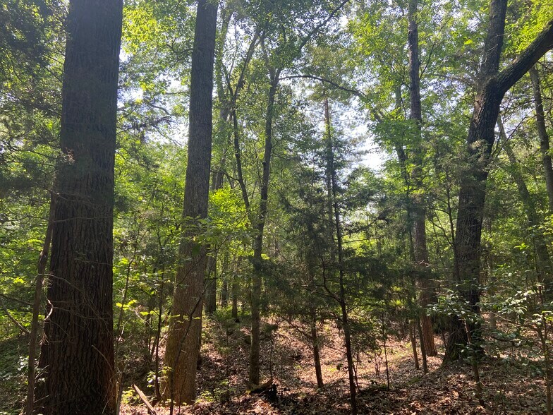 More Photos Of Terry Shop Rd, Fountain Inn Land For Sale