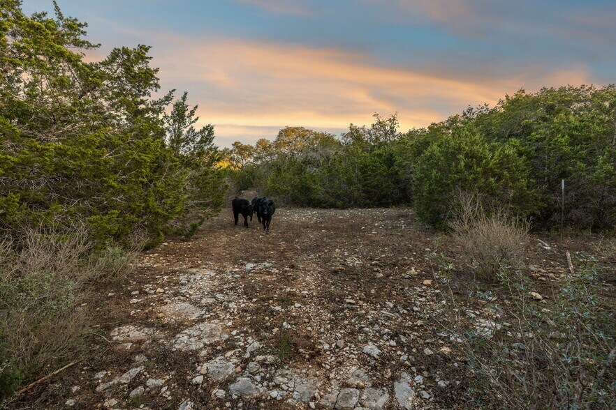 More Photos Of 678 Ammann Road, Bulverde Land For Sale