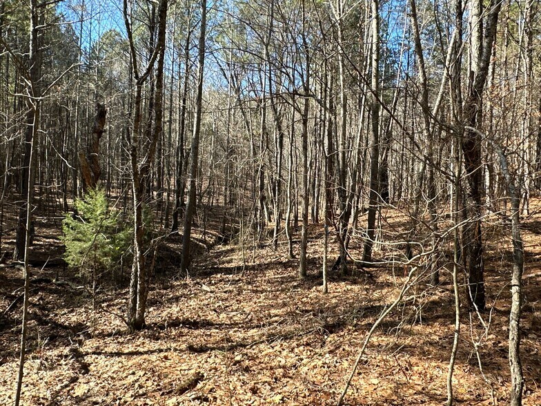 More Photos Of 3472 Prior Station Rd, Cedartown Land For Sale