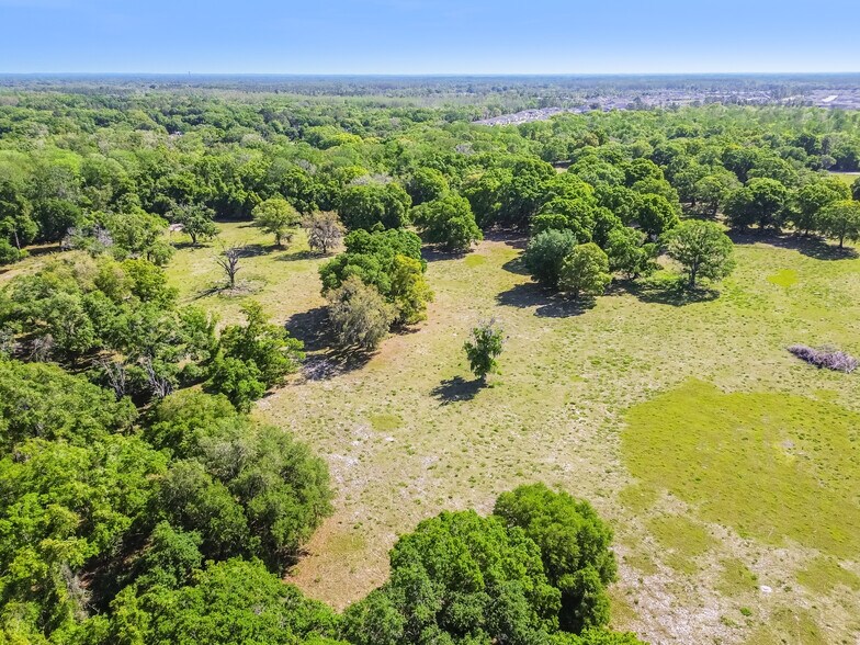 More Photos Of 12500 Hamlin Rd, Spring Hill Land For Sale