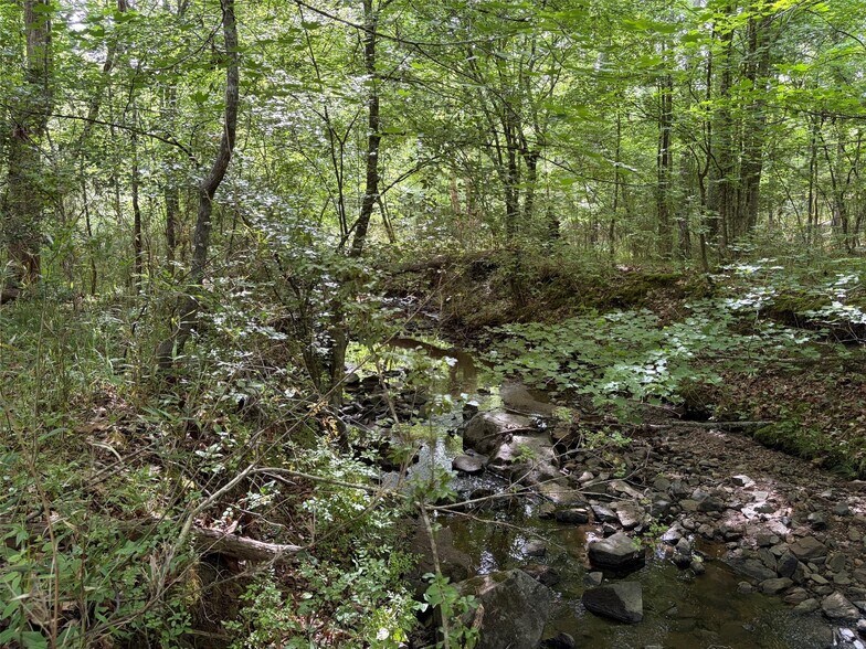 More Photos Of 0 Lancaster Hwy, Chester Land For Sale