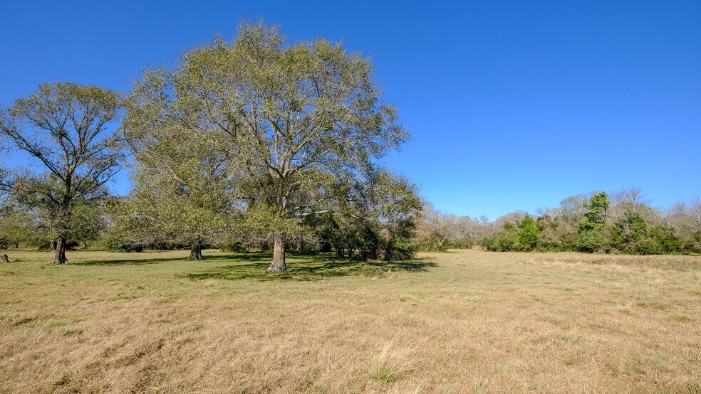 More Photos Of 26266 Fields Store Rd., Waller Land For Sale