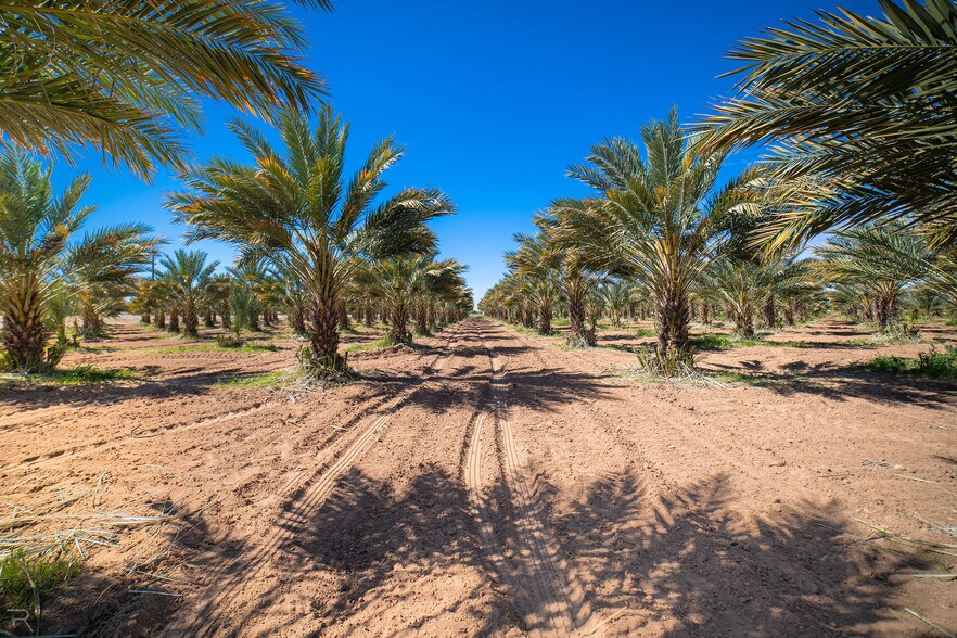 More Photos Of 17587 S Ave 3 1/2 E, Yuma Land For Sale