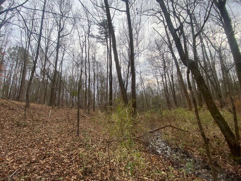 More Photos Of 140 Cora Dr, Columbia Land For Sale