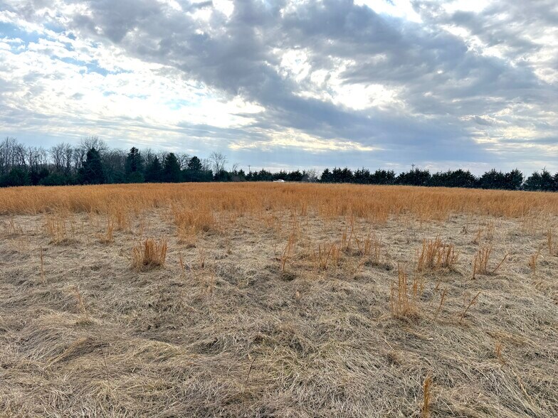 More Photos Of Pike 49 (12+/- Acres), Frankford Land For Sale