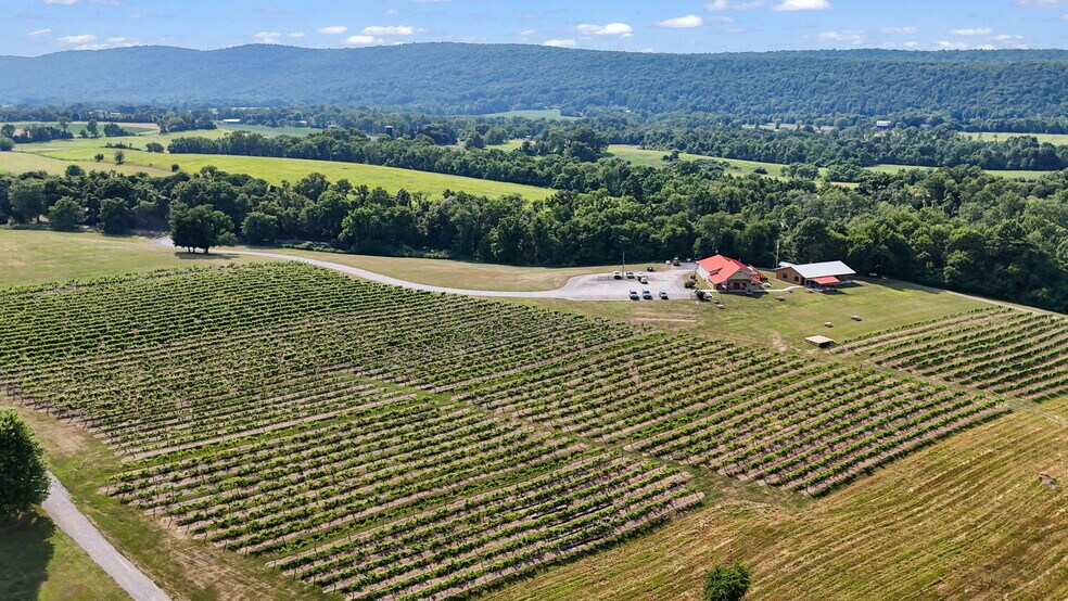 More Photos Of 3 Orchard Rd, Liverpool Winery Vineyard For Sale