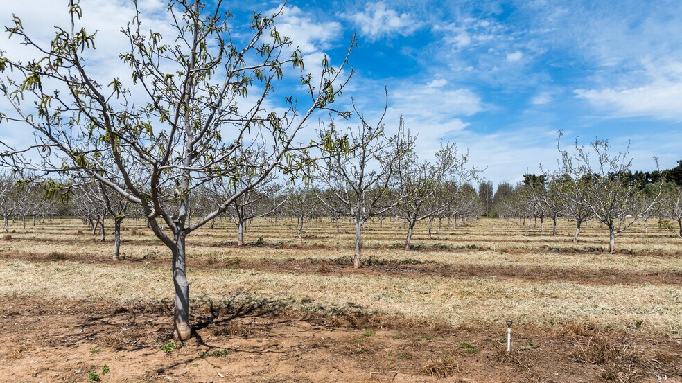 More Photos Of 2150 N Fine Road, Linden Land For Sale