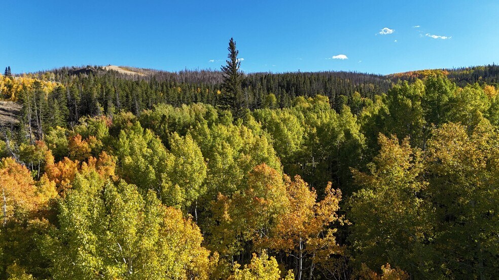 More Photos Of 1124 State Highway 11, Laramie Specialty For Sale