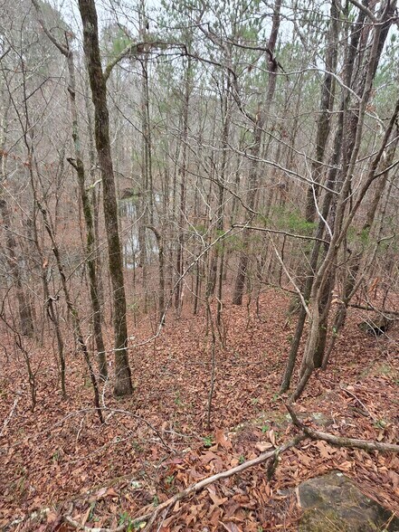 More Photos Of 221 East Lane Ln, Oneonta Land For Sale