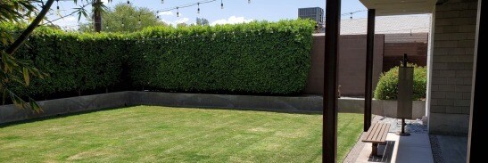 More Photos Of 432 S Farmer Ave, Tempe Loft Creative Space For Sale