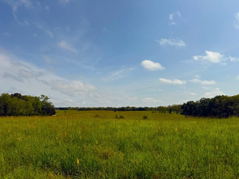 More Photos Of 17688 Golden Rd, Linwood Land For Sale