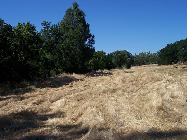 More Photos Of 131 Sky Creek Ct, Chico Land For Sale