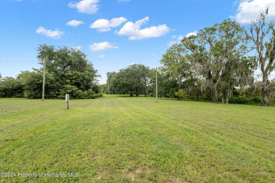 Primary Photo Of 9028 McKendree Rd, Wesley Chapel Land For Sale