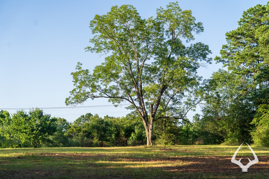 More Photos Of 2000 E Denman Ave, Lufkin Land For Sale