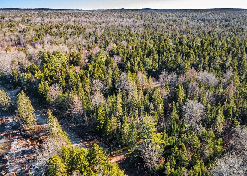 More Photos Of 175 Chicken Mill Pond Rd, Gouldsboro Winery Vineyard For Sale