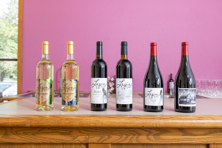 More Photos Of 4290 Mt Baker hwy, Everson Winery Vineyard For Sale