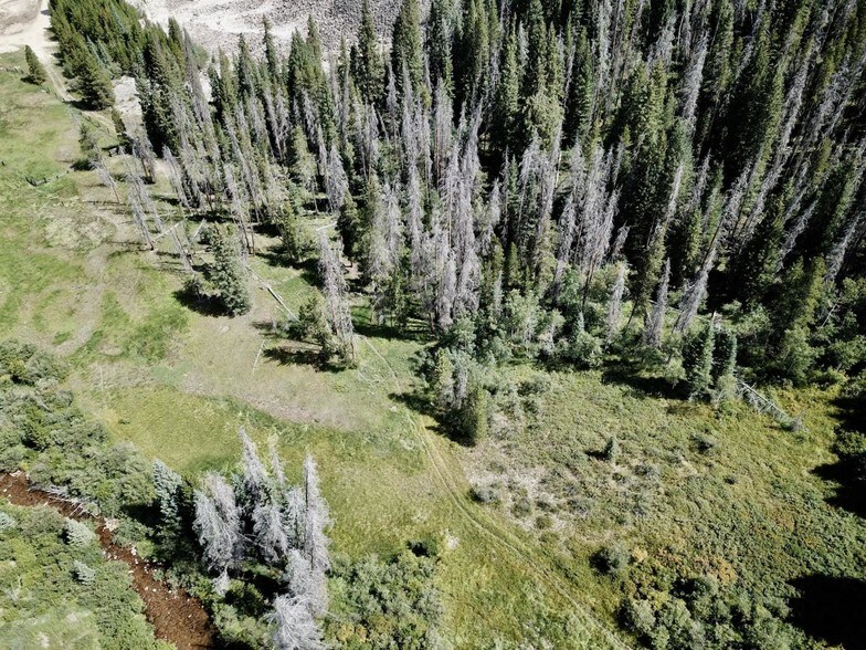 More Photos Of Tbd Ski Idlewild Rd Tract G, Winter Park Land For Sale