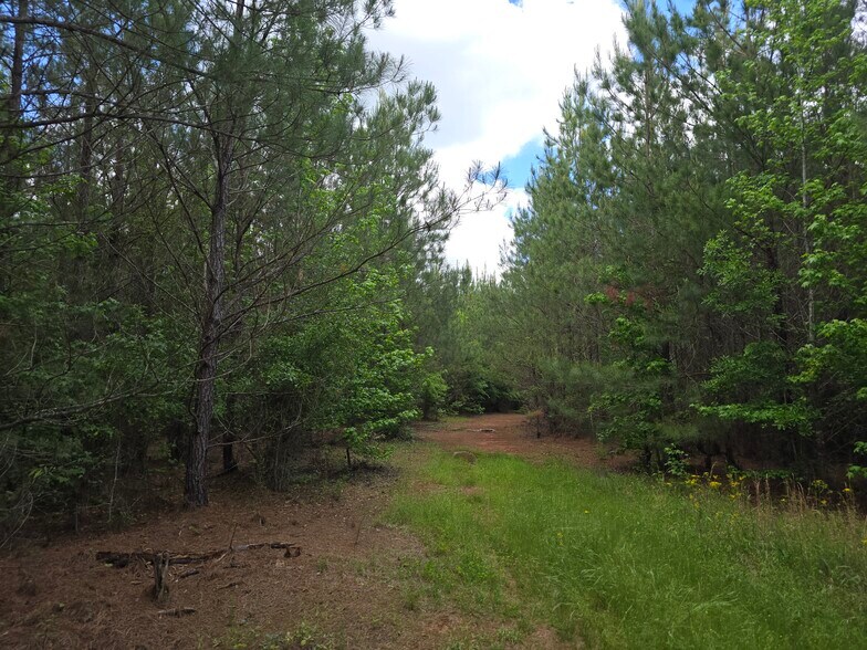 More Photos Of Davis Lake Rd @ Old Talbotton Rd, Thomaston Land For Sale