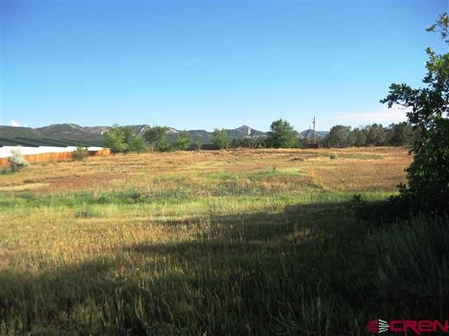 More Photos Of 277 County Route 233, Durango Land For Sale