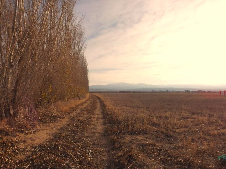 More Photos Of 1643 Cuyama Hwy, Maricopa Land For Sale